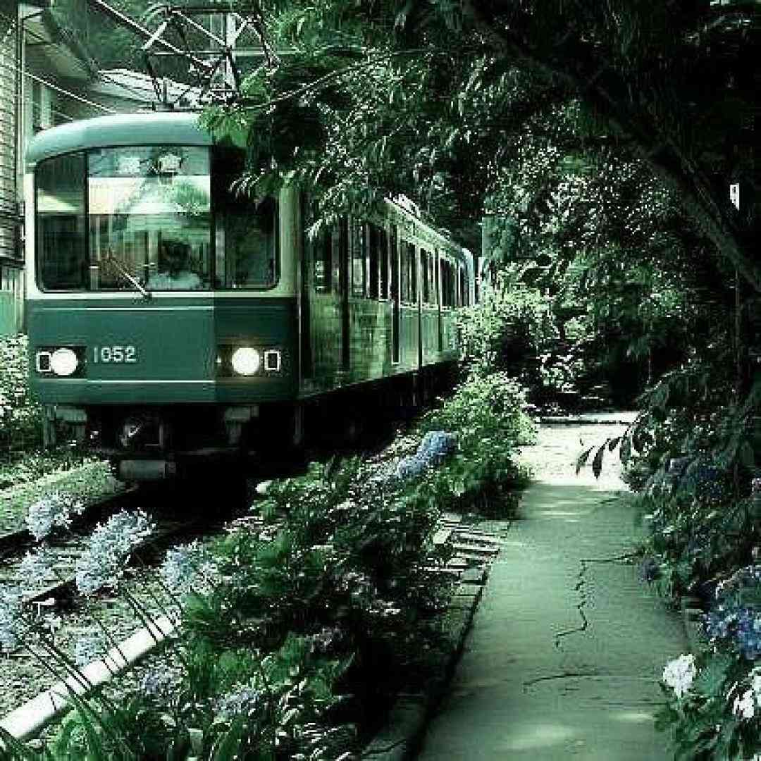  فصل پول شده بارون قسطی میباره