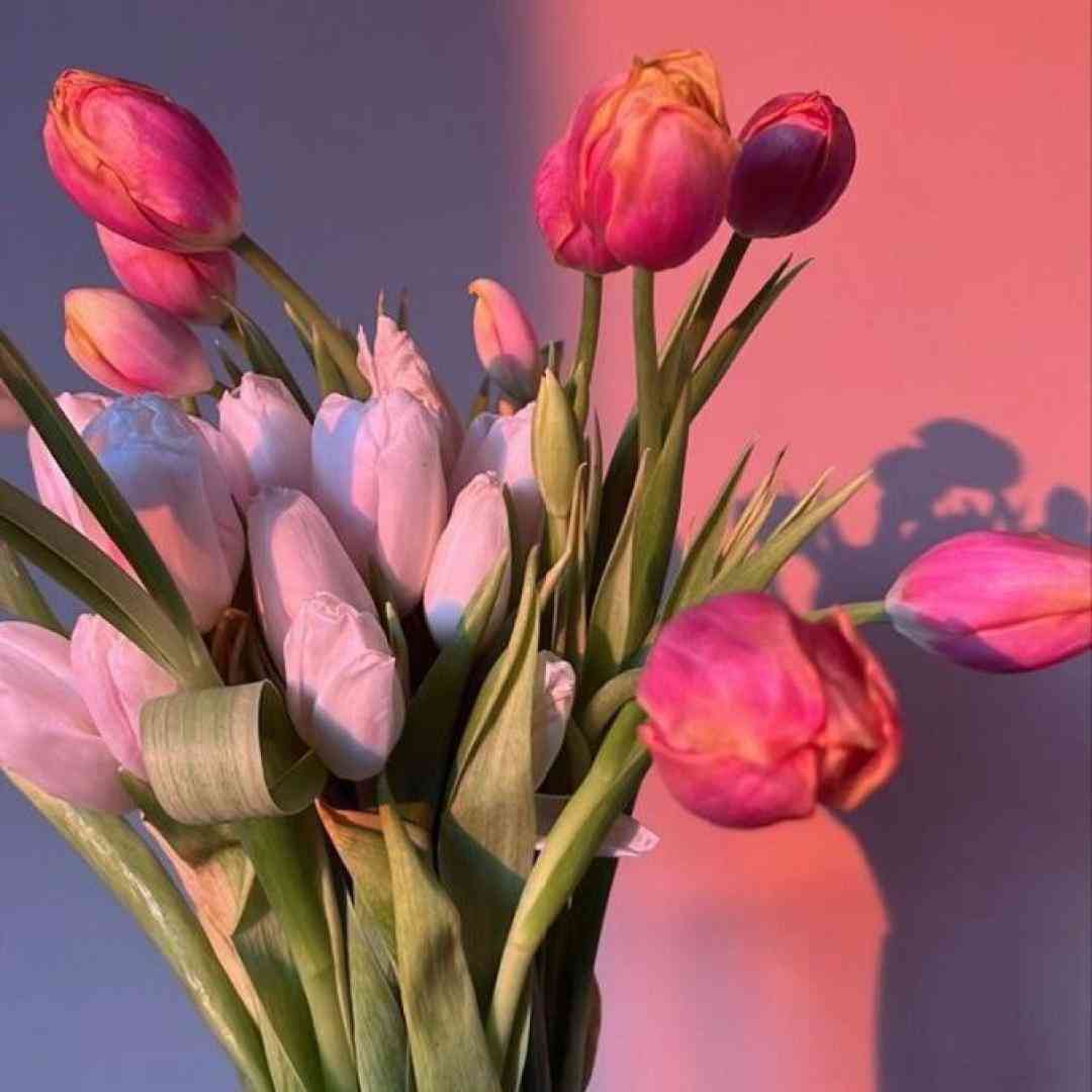 دانسی میام دیرین دیرین داف میریزه درینک میرینک