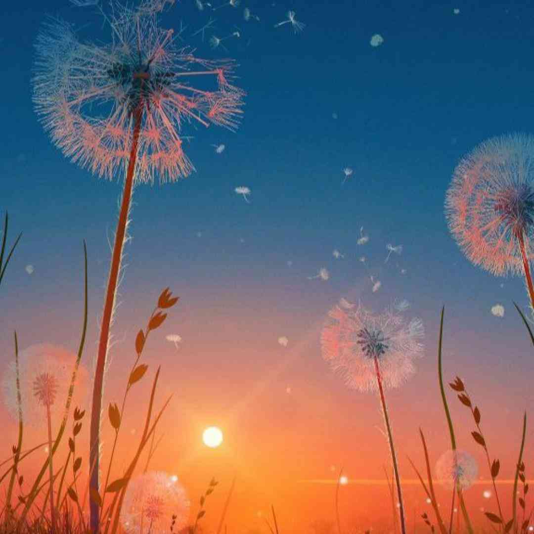  خوشتیپ اه بابا مارو کشتین هرچی که راه میریم
