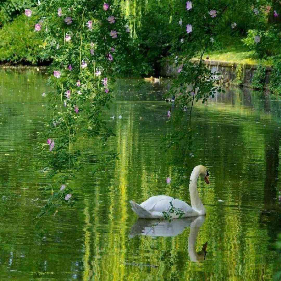  به مولا خوبتو میخواستم از دست دادی اون که