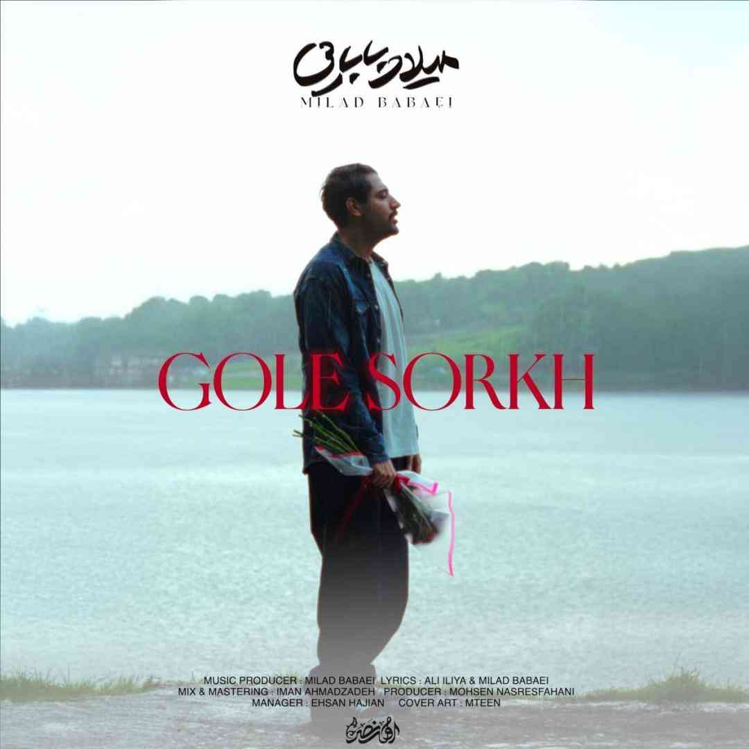 میلاد بابایی گل سرخ