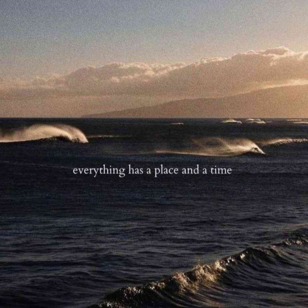  دارو ندارم گفتم اینجوری نذارم شدی ستارم