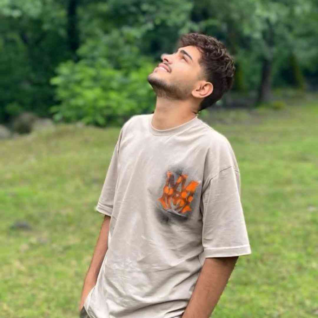 امیرمحمد افشار خوشگل شاه
