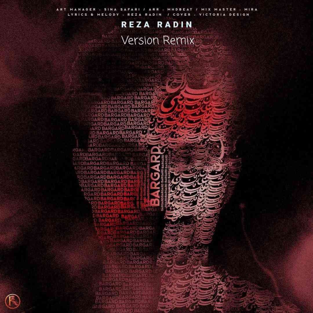 رضا رادین برگرد