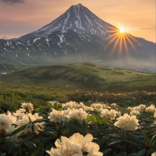  من دلم نمیخواست ولی از پس همه چی تنهایی برام
