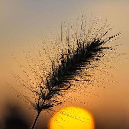  منو داری خیالت تخت هر چی میخواد پیش بیاد