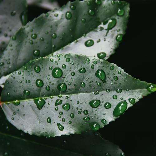تقریبا حال همه مون بده هر روز یه چی ازمون کمه