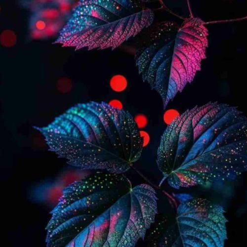  دل بسته شدم ای وای بی دلیل همه چی دلگیر شده