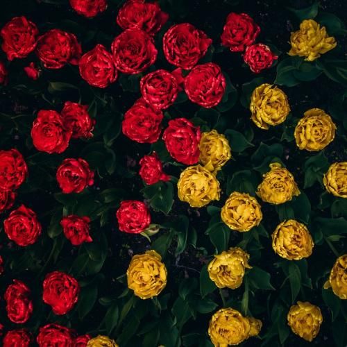  اینم یه دعوای دیگست مگه نه تو برمیگردی پیشم