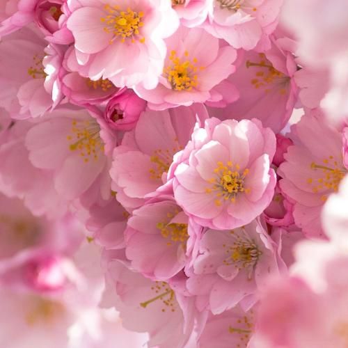 مهسا خسروانی لای لای من به جای تو شکستم