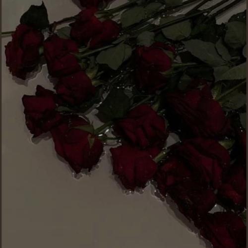  هنوز اسمت تتوعه رو این تن خسته (میکس اینستا)
