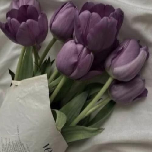  دل من تنگه کاش هنوزم بفهمه یکی به یادش هستش