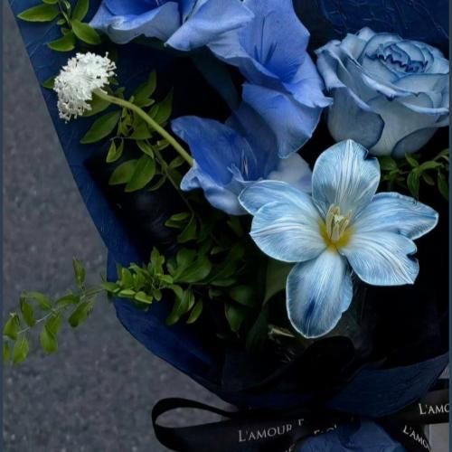 آیوا گیسو پریشان