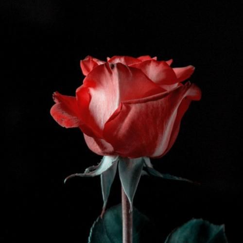 فاطمه عطایی آسمون