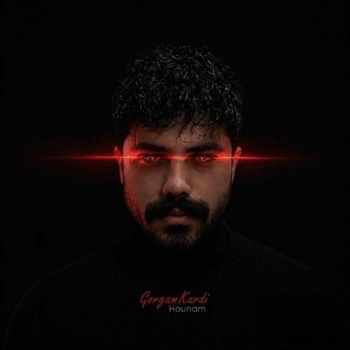 هونام گرگم کردی (تو منو گرگم کردی تو بزرگم کردی)