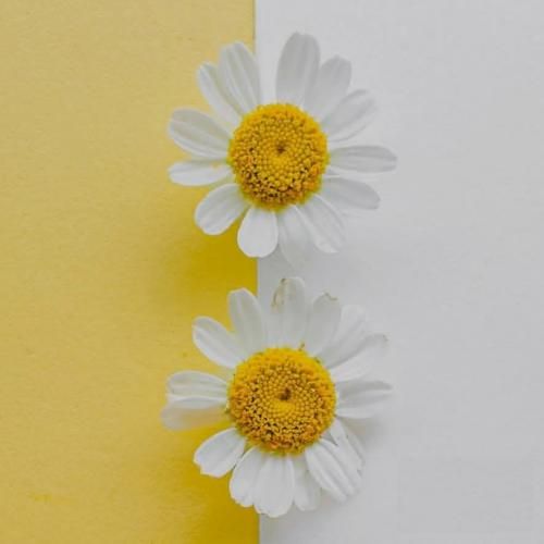 نفیر ربنای غم اذان وقت انزوا نمازهای وحشت