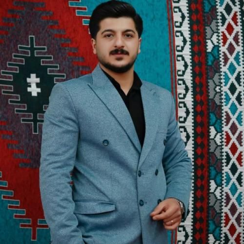 امیر سیاوشی غریب