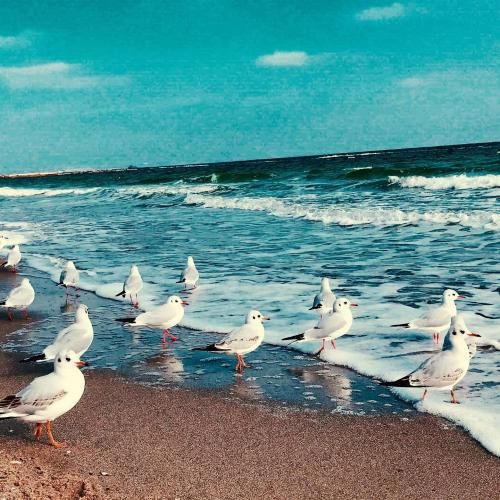  روزی صدبار تو خودم میشم گم (میکس اینستا)