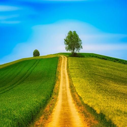  سلام برسون اگه دیدی مث من جیمی نوترونم