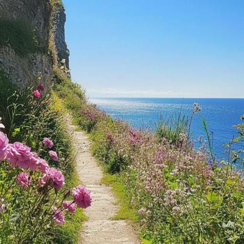 اینا هم بگذره کی من درست میشم