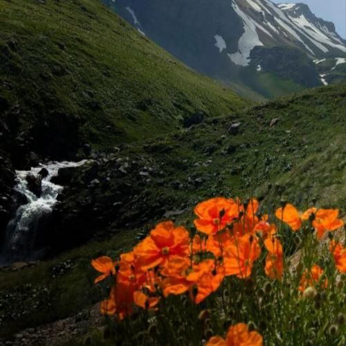 بچزا خودم لاشی ترم از این حرفا