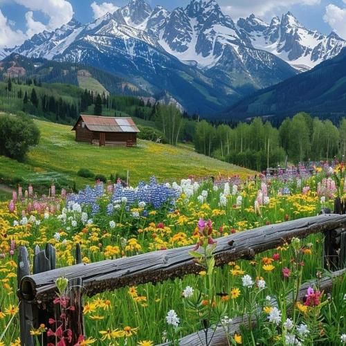 صد دفعه گفتم بابا جون بگیر منو (ترند اینستا)