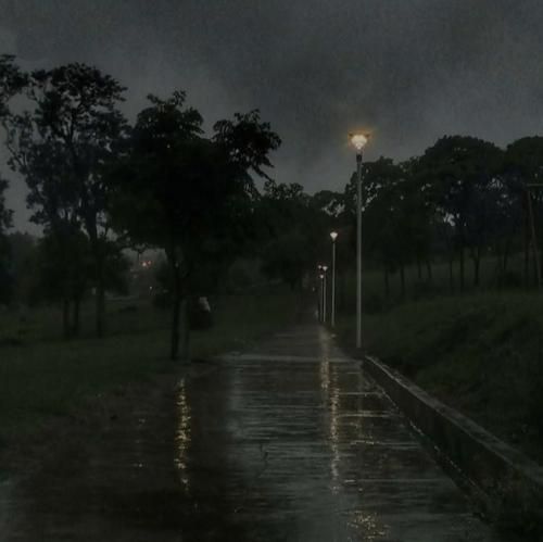  جوجه ی من نزار قبل جشناشون رنگت کنن