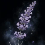 میشه پاپ فقط حیف که تو راهی تو دل برو میشه پاپ فقط حیف که تو راهی تو دل برو