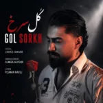 گل سرخ جواد امانی