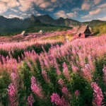 بیا که نمیتونم بخوابم شبا بغلم نکنی