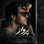 دانلود آهنگ جدید پرواز از حسین شریفی